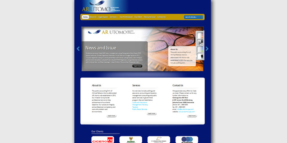 The Public Accounting Firm Website
